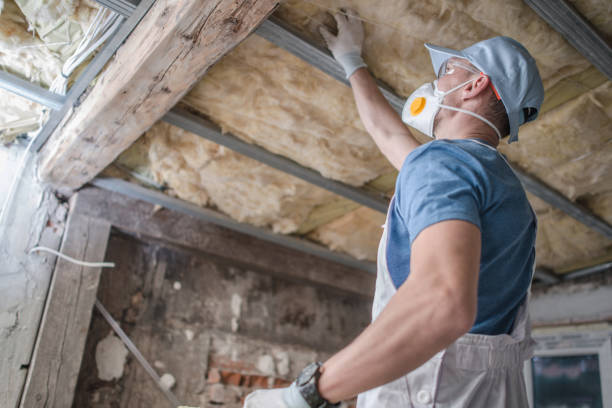 Best Spray Foam Insulation in Carlyle, IL