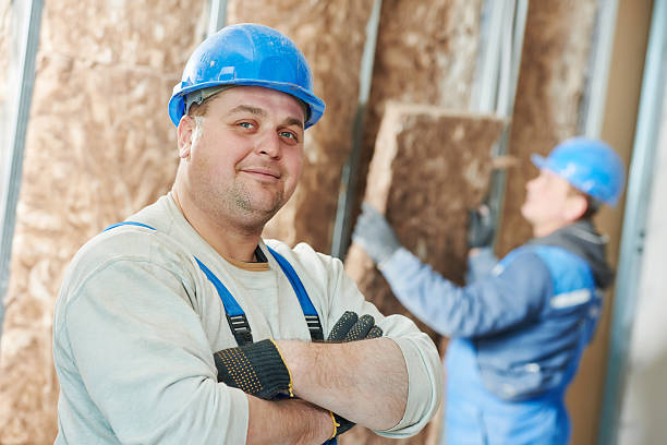 Best Commercial Insulation in Carlyle, IL