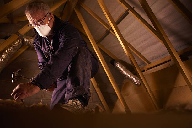 Best DIY Insulation Kits and Guidance in Carlyle, IL
