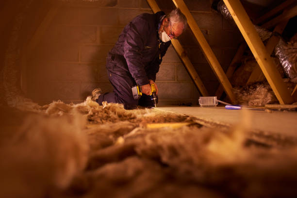 Best Cellulose Insulation in Carlyle, IL